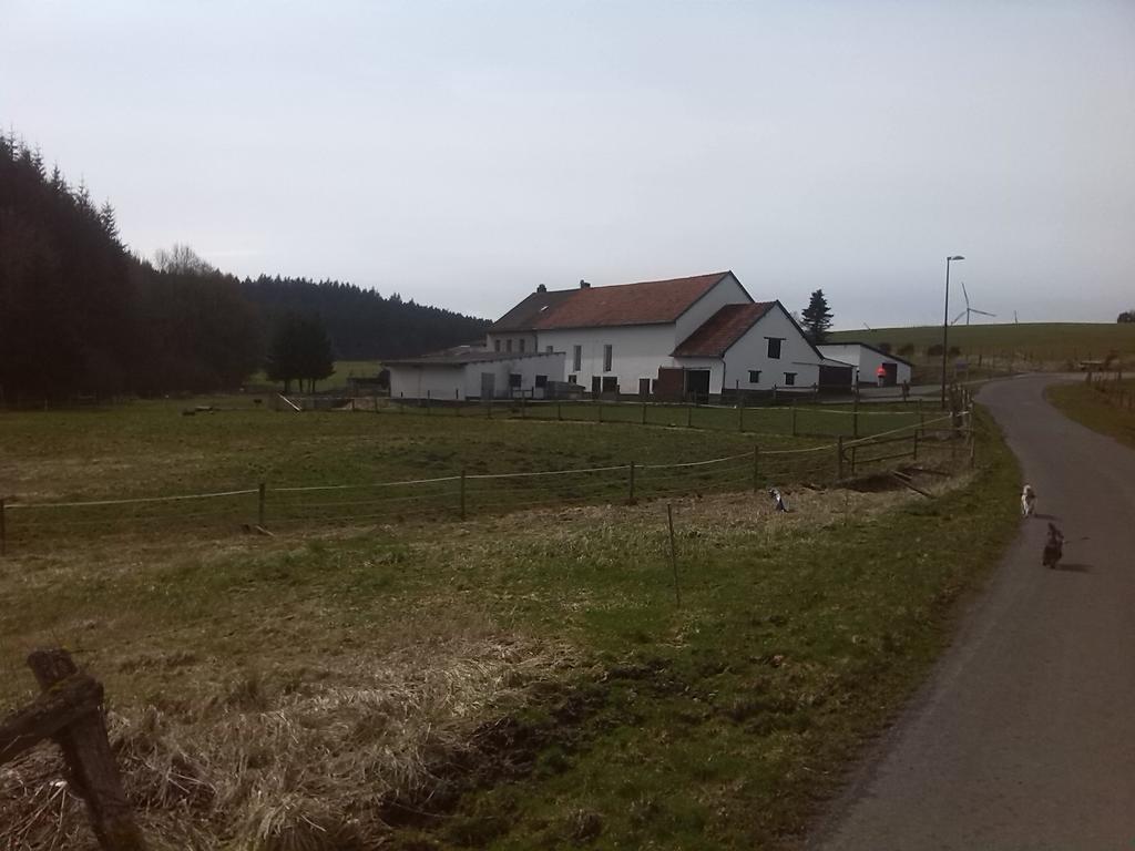 Muehlenhof Stadtkyll Eksteriør billede